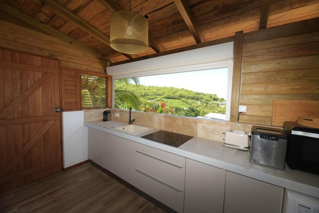 サンタンヌCocotier, Elegant T3 Avec Jardin Tropicalアパートメント エクステリア 写真