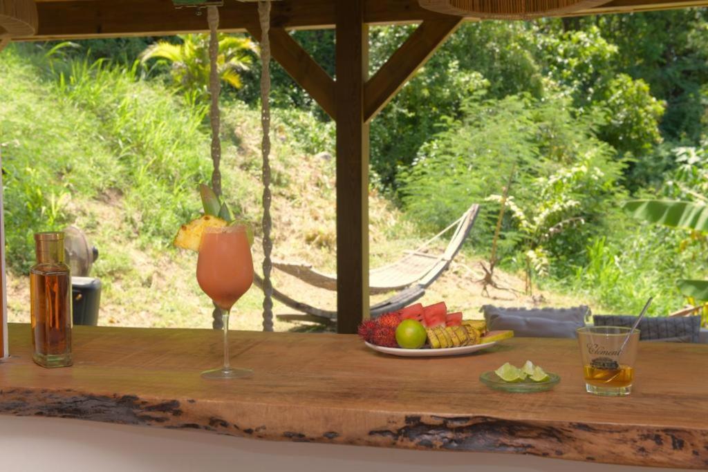 サンタンヌCocotier, Elegant T3 Avec Jardin Tropicalアパートメント エクステリア 写真