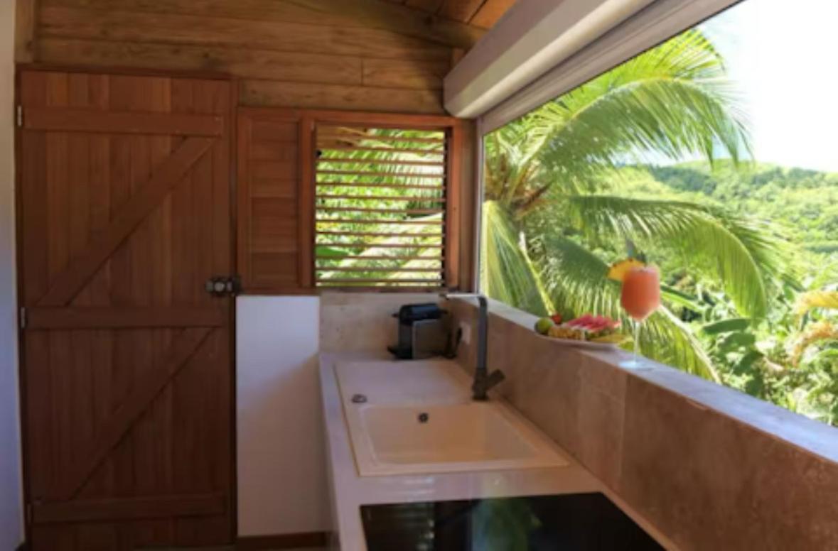 サンタンヌCocotier, Elegant T3 Avec Jardin Tropicalアパートメント エクステリア 写真